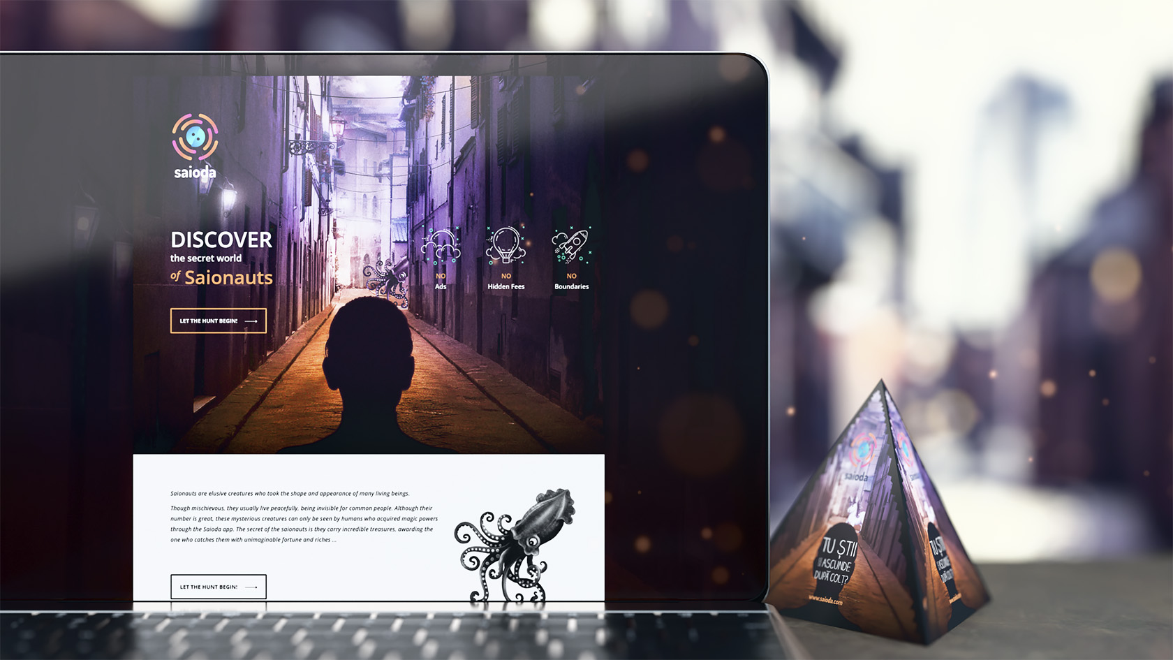 Saioda, Landing page